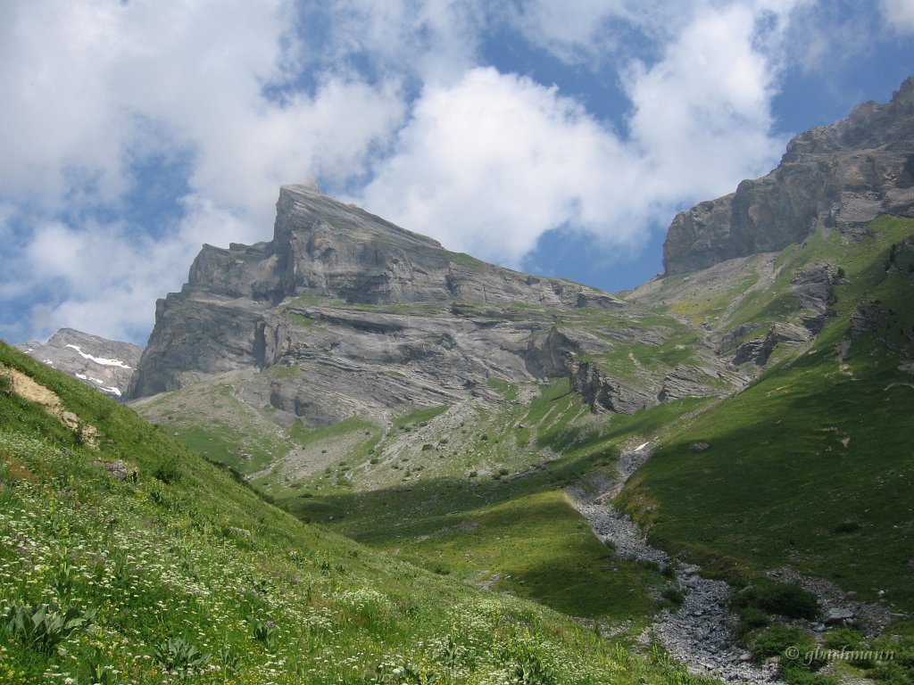 20090704_048